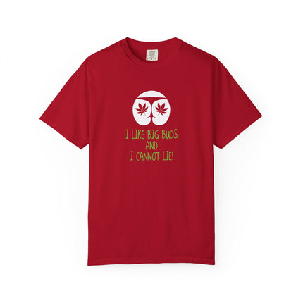 I Like Big Bugs and I Cannot Lie T-shirt | Bug Eyes Leaf Graphic