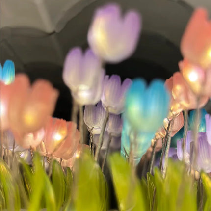 Cloud Tulip Mirror Lamp